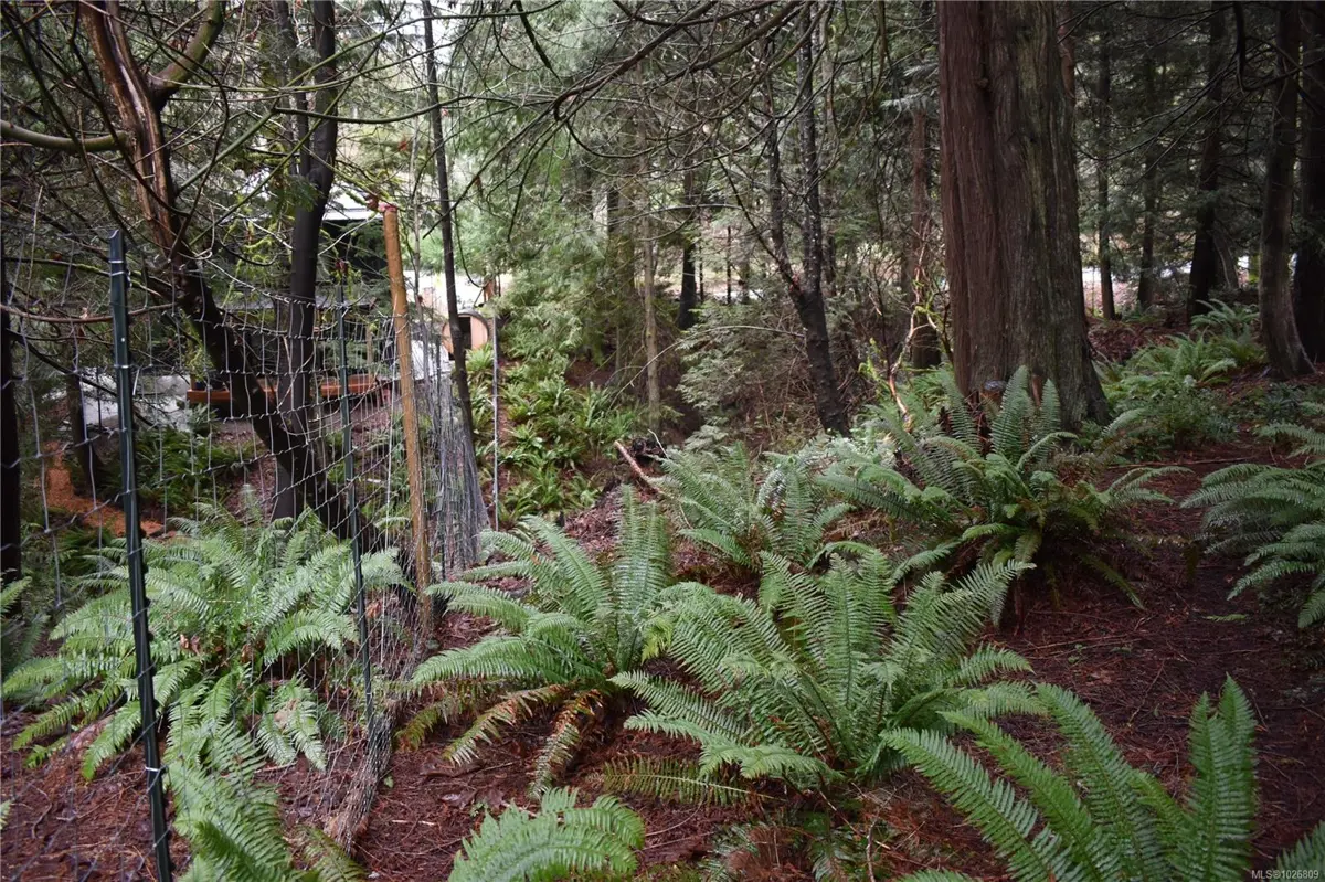 Salt Spring Realty 201 Grantville St, Salt Spring, British Columbia V8K1P1 For Sale ...